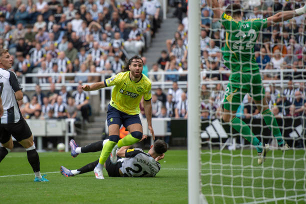 并称自己是 并称自己是